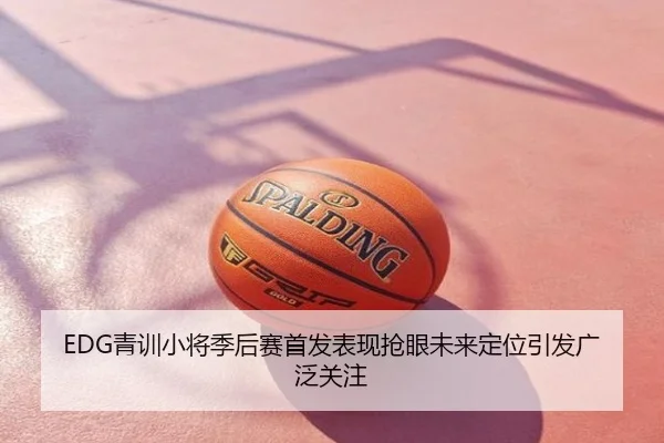 EDG青训小将季后赛首发表现抢眼未来定位引发广泛关注